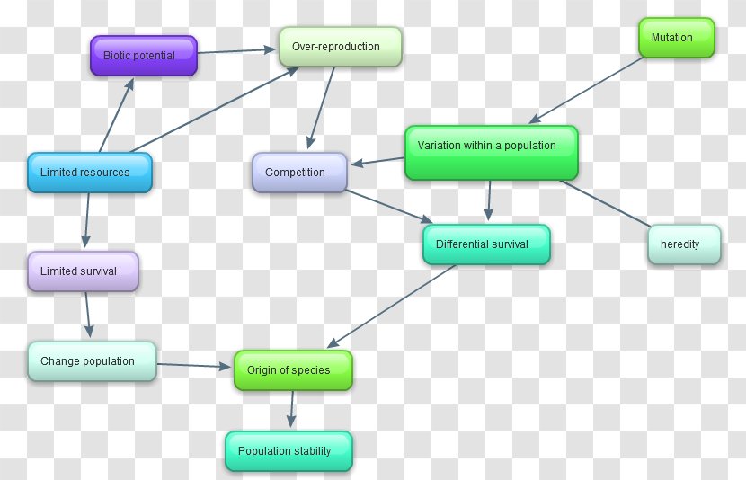 Species And Speciation Concept Map Natural Selection - Circuit Component Transparent PNG