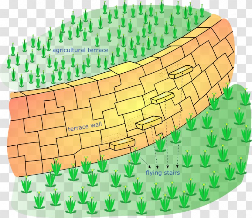 Rice Terraces Of The Philippine Cordilleras Banaue Inca Empire Agriculture - Wall Transparent PNG