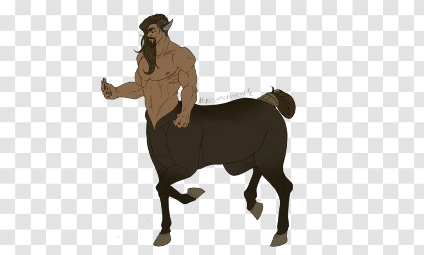 Horse Cattle Ox Bull Goat - Horn Transparent PNG