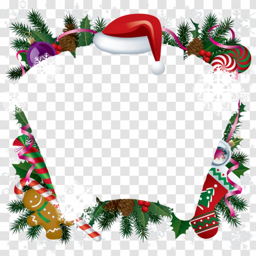 Christmas And New Year Background - Day - Conifer Eve Transparent PNG