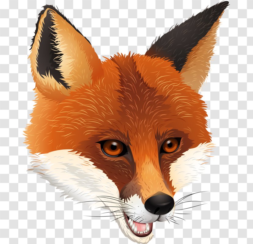 Fox Royalty-free Clip Art - Royaltyfree - Sly Transparent PNG