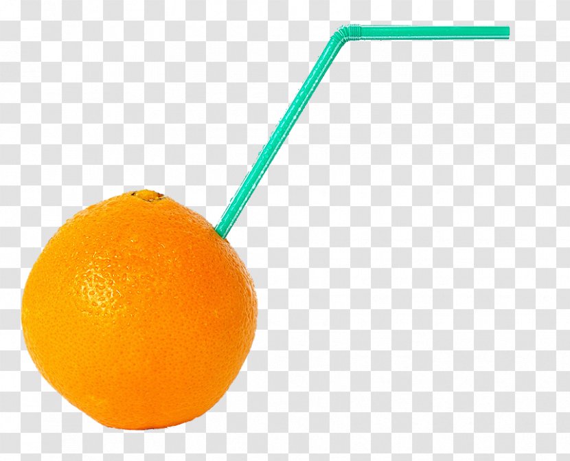 Orange Citric Acid - Citrus - Juice Transparent PNG