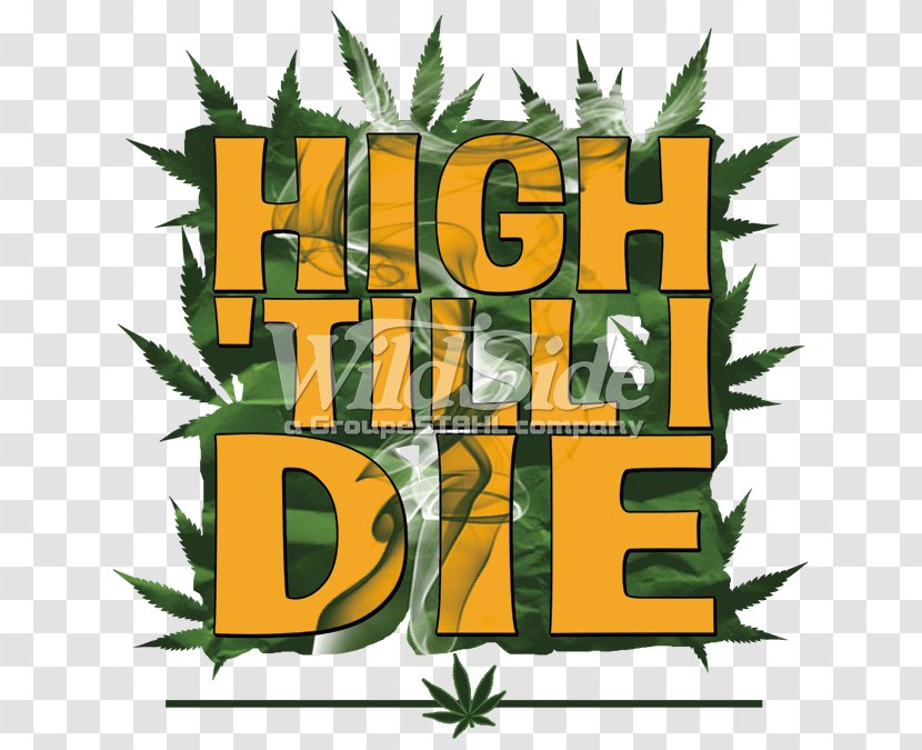 Cannabis Hemp Substance Intoxication Clip Art - Logo Transparent PNG