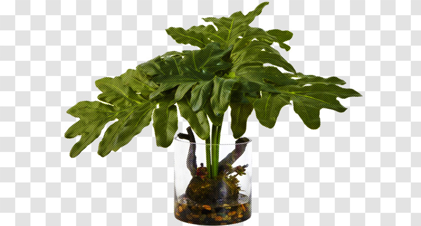 Flowerpot Plant Flower Leaf Houseplant Transparent PNG