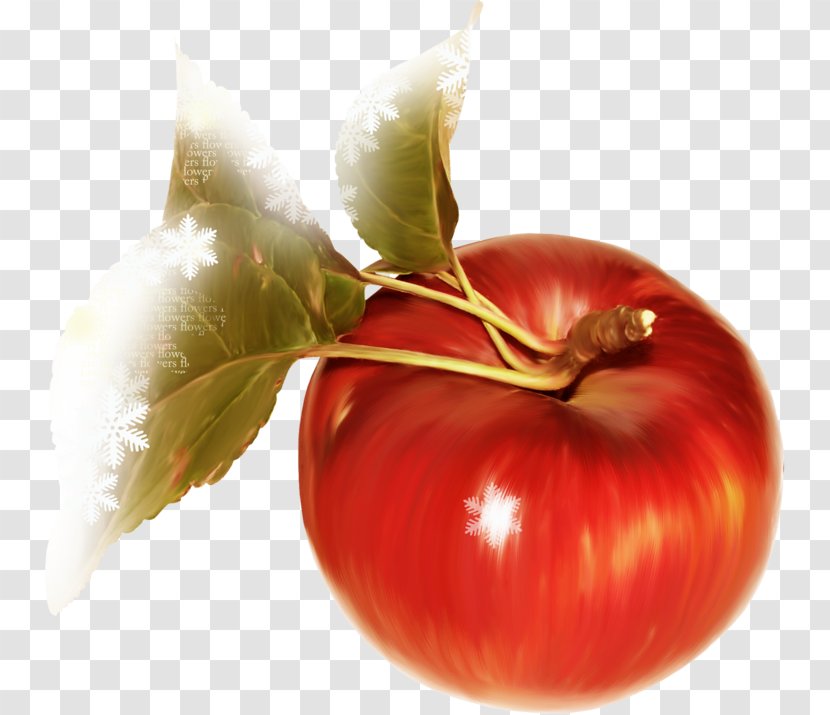 Tomato Toast Apple - Red Transparent PNG