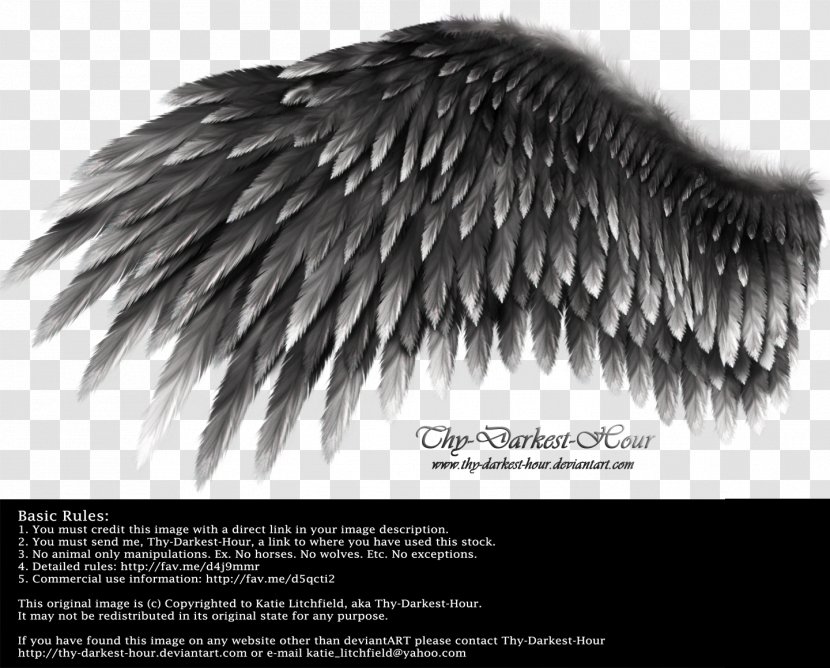 Wing DeviantArt YouTube White - Fur - Wings Angel Transparent PNG