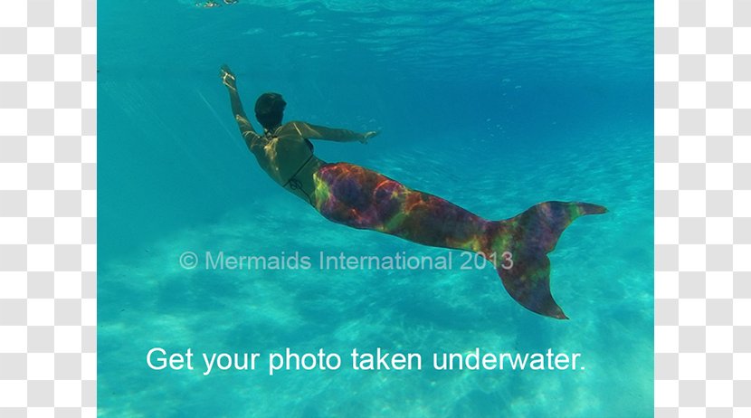 Snorkeling Marine Mammal Sea Biology Underwater - Mermaid Party Transparent PNG