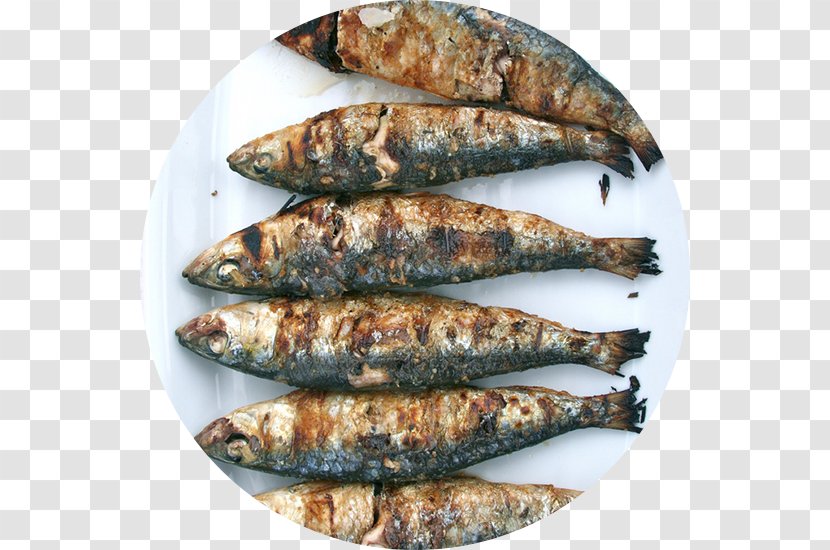 Sardine Spanish Cuisine Madrid Clam Portuguese - Fish - Barbecue Transparent PNG