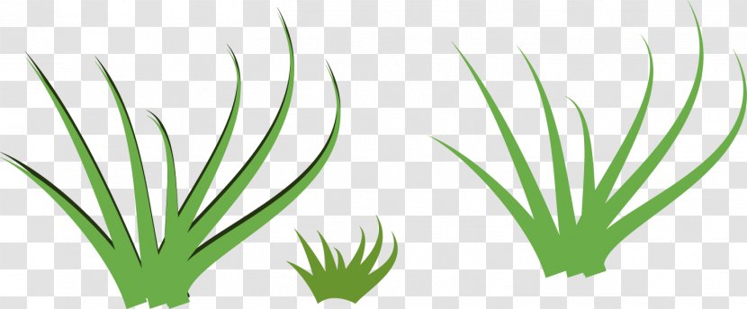 Cartoon Download - Plant - Painted Fresh Grass Transparent PNG