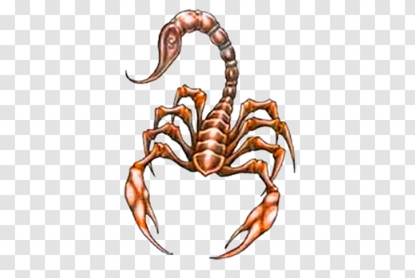 Abziehtattoo Scorpion Flash Polynesia - Dungeness Crab - Resplandor Transparent PNG