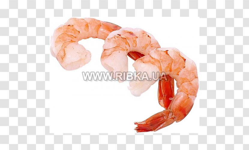 Prawn Cocktail Shrimp And As Food Lobster Clip Art Transparent PNG