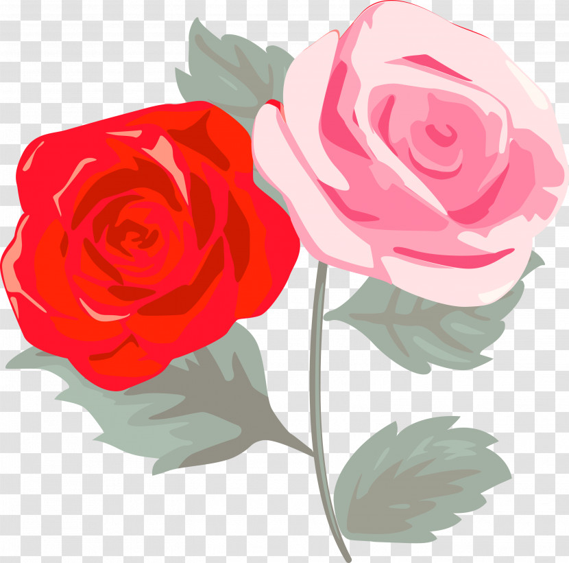 Garden Roses Transparent PNG