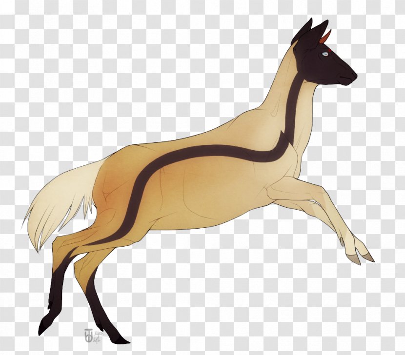 Mustang The Endless Forest Deer Dog Cat - Tail - Marmalade Transparent PNG
