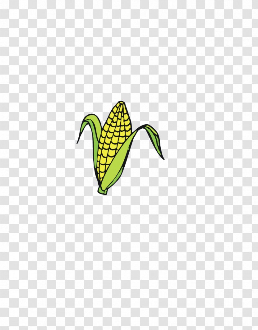 Maize Icon - Brand - Corn Transparent PNG