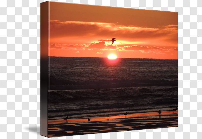 Picture Frames Sky Plc - Horizon Transparent PNG