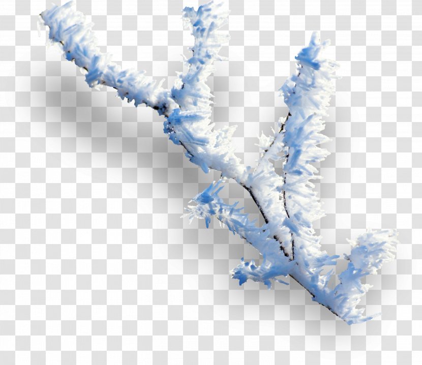 Winter Clip Art - Branch - Snow Transparent PNG