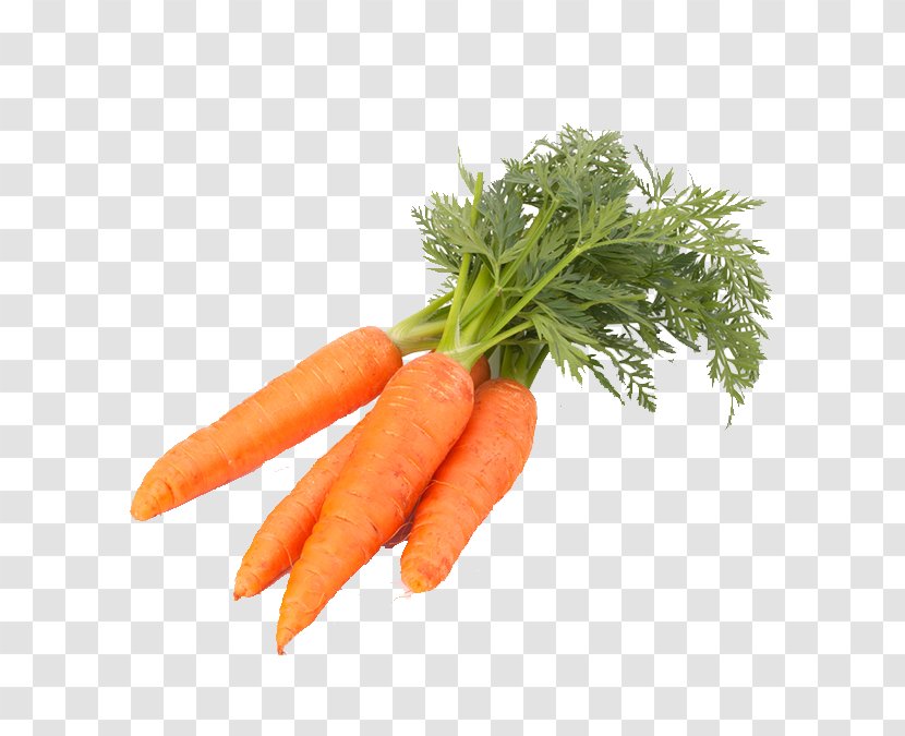 Carrot Vegetable Food Transparent PNG