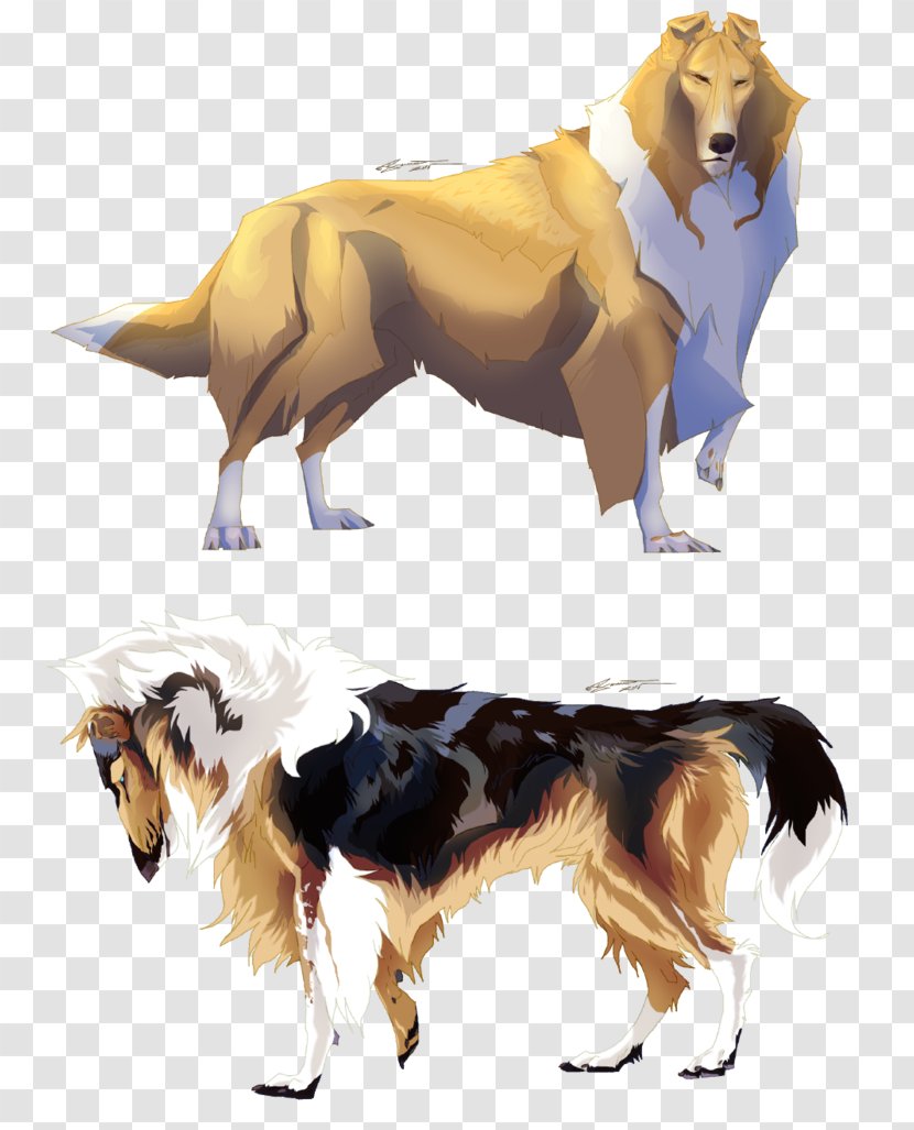 Dog Breed Canidae Carnivora - Hairy Transparent PNG