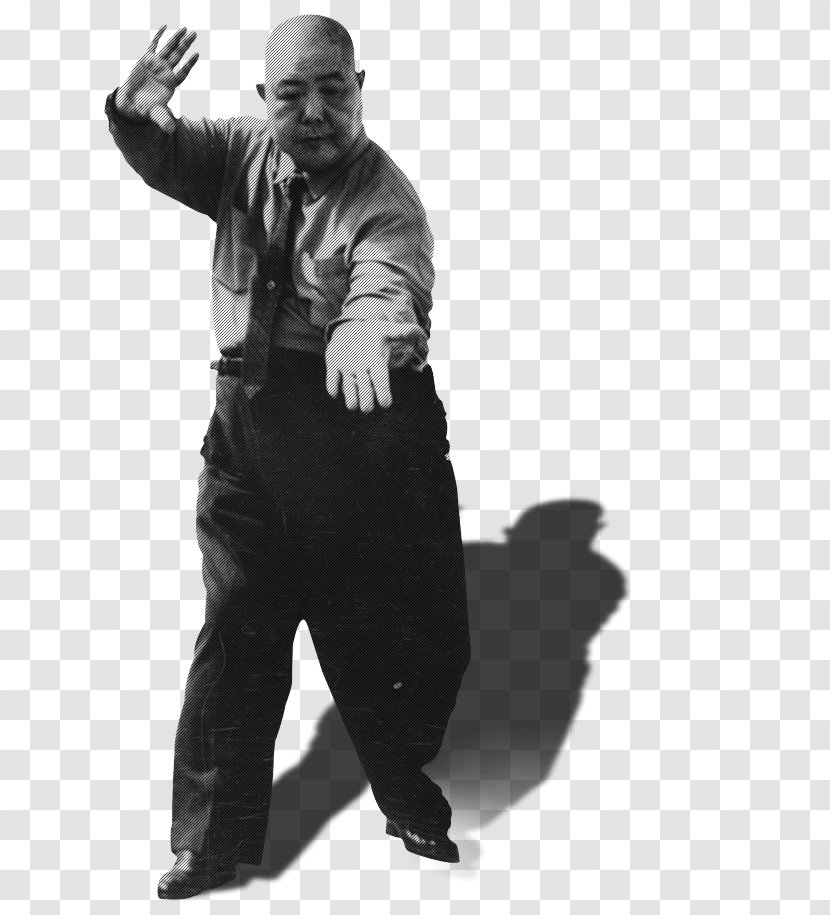 Chinese Martial Arts Gentleman Black And White Professional - Male - Cheng Ming Festival Transparent PNG