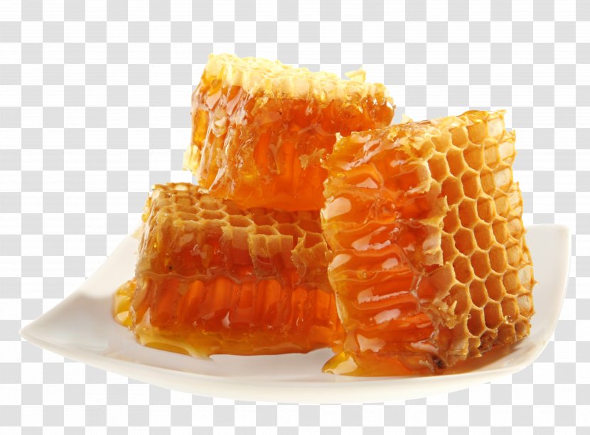 Honey Bee Maya Honeycomb - HD Dish Transparent PNG