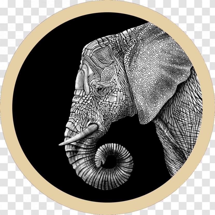 African Elephant Indian Drawing Elephantidae Painting Transparent PNG