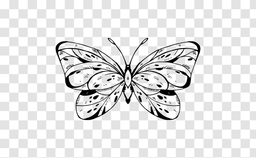 Monarch Butterfly Drawing Insect - Wing Transparent PNG
