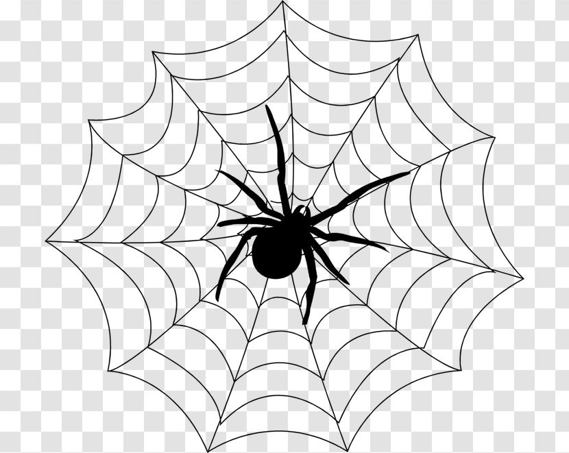 Spider Web Clip Art Transparent PNG