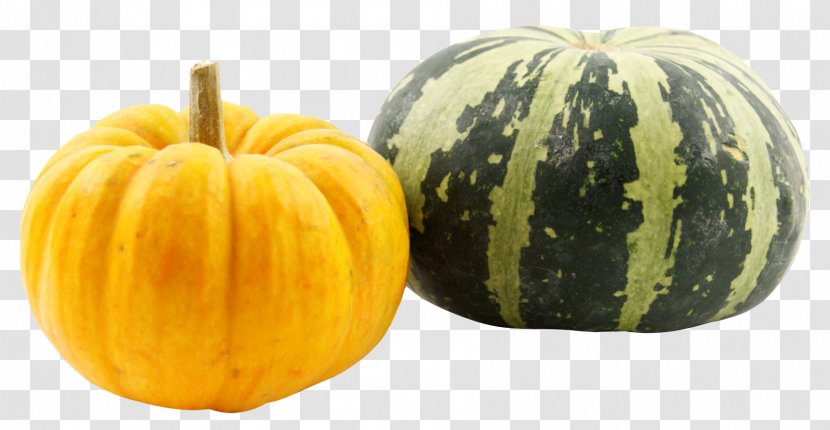 Pumpkin Calabaza Kabocha Winter Squash - Cucumber Gourd And Melon Family - Pumpkins Transparent PNG