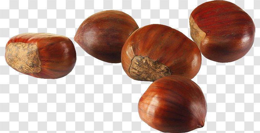 Chestnut Hazelnut Nuts Auglis Autumn - Leaf - Acorn Transparent Background Transparent PNG