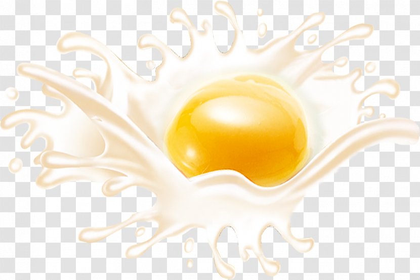 Brand Egg Yellow Wallpaper - Text Transparent PNG