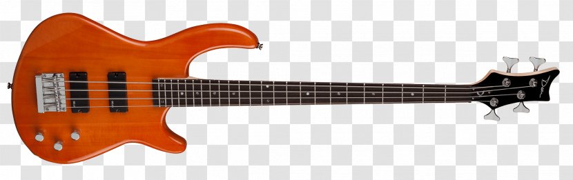 Washburn Guitars Bass Guitar Electric Pickup - String Instruments - Amber Transparent PNG