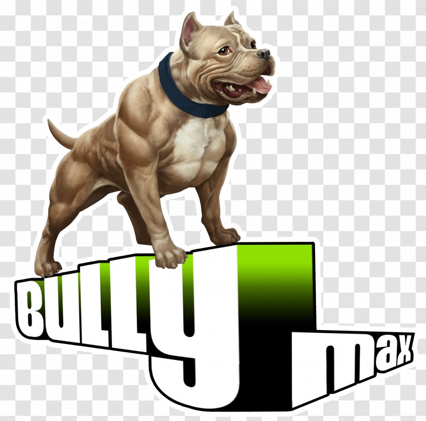 American Bully Pit Bull Terrier Bulldog - Dog Transparent PNG