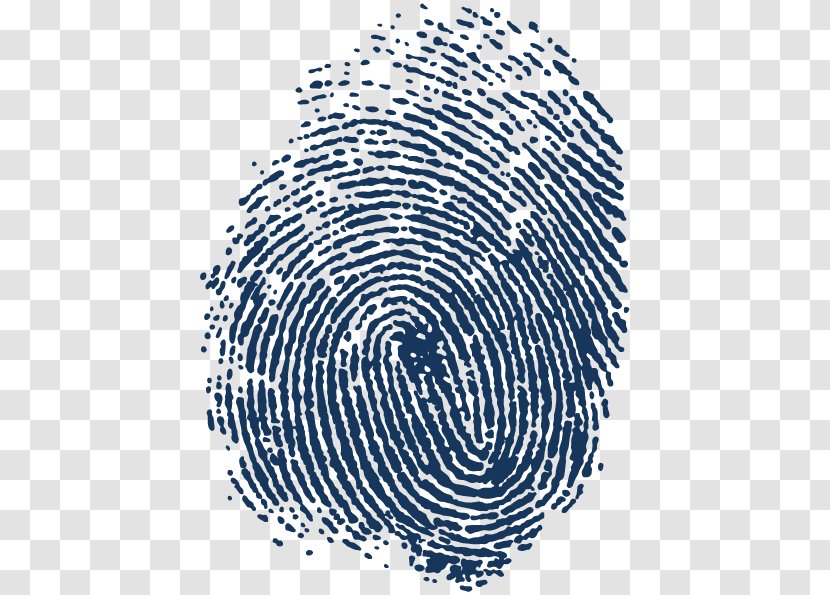 Automated Fingerprint Identification Spiral Adermatoglyphia - Raster Graphics - Fingerprints Transparent PNG