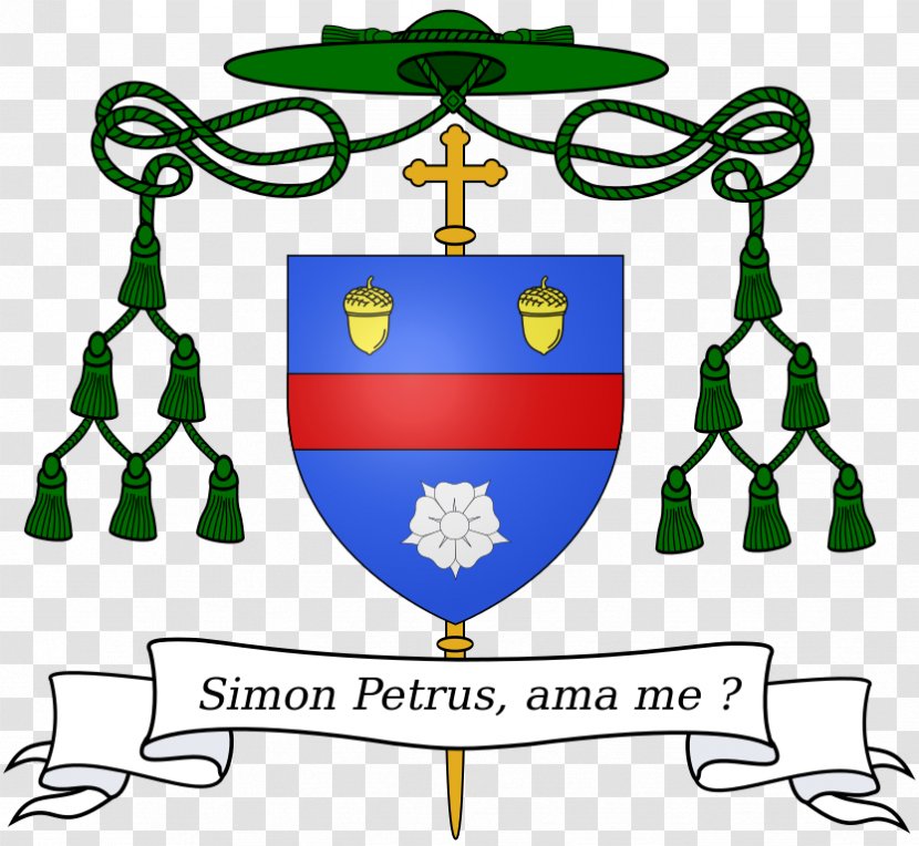 Archdiocese Of Los Angeles Roman Catholic Diocese Charlotte Orange Catholicism - Auxiliary Bishop - Jeans Creative Transparent PNG