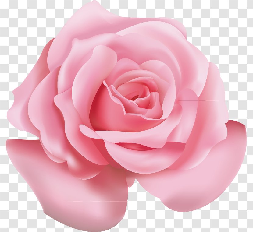 Beach Rose Pink Flower Icon - Roses Transparent PNG