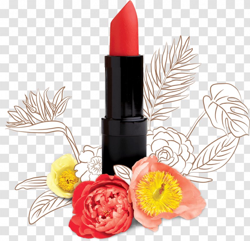 Lip Balm Lipstick Cosmetics Oil - Personal Care Transparent PNG