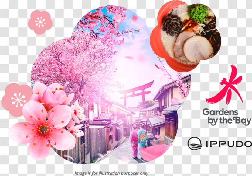 Gardens By The Bay Japan Travel Itinerary Hanami Experience Transparent PNG