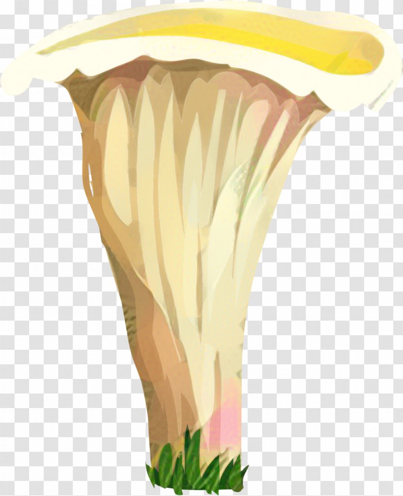 Vase Plant - Nepenthes Transparent PNG