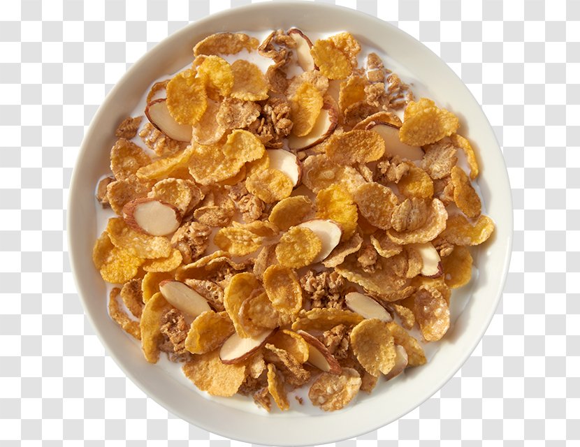Breakfast Cereal Oatmeal Honey - Dish - Oats Transparent PNG