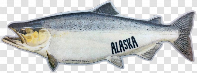 Coho Salmon Norway Oily Fish - Animal Figure - King Transparent PNG