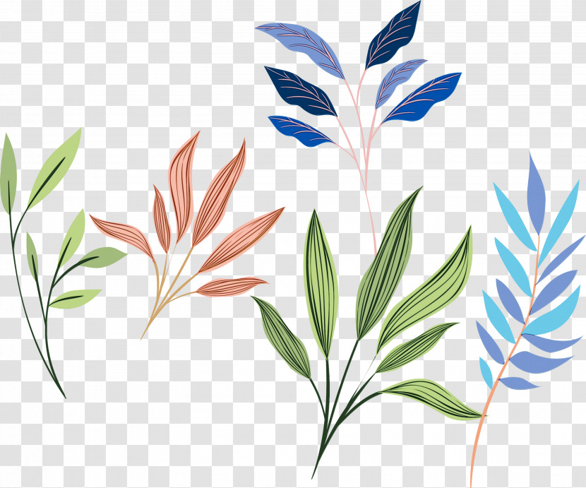 Leaf Plant Flower Grass Plant Stem Transparent PNG