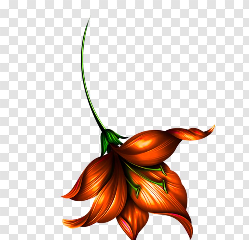 LiveInternet Diary Clip Art - Petal - Flowering Plant Transparent PNG