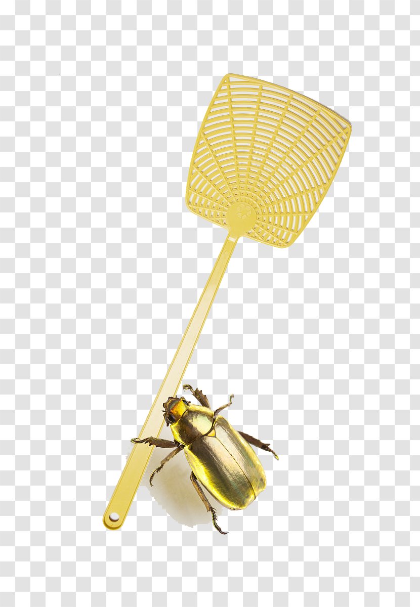 Fly-killing Device - Yellow - Light Flies Shot Transparent PNG