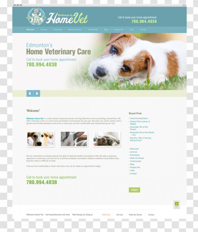 Dog Breed Puppy Web Design - Like Mammal Transparent PNG