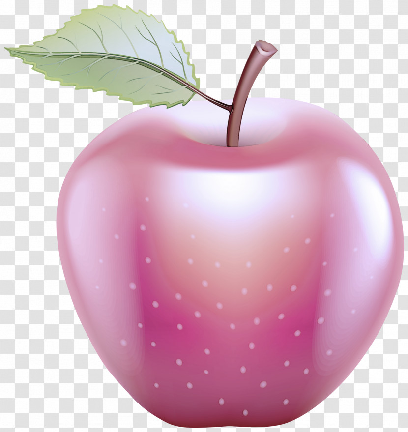 Fruit Leaf Apple Plant Pink Transparent PNG