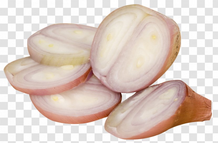 Yellow Onion Shallot Vegetable - Avocado Slice Transparent PNG