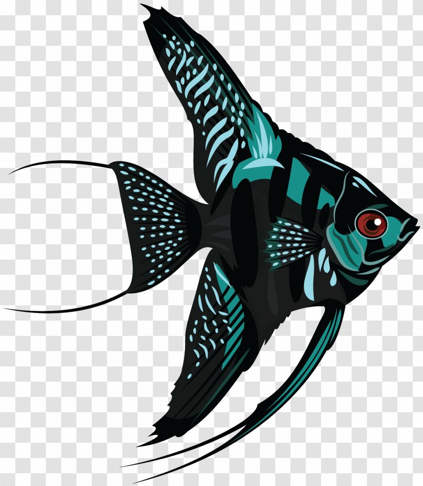 Freshwater Angelfish - Fish Transparent PNG