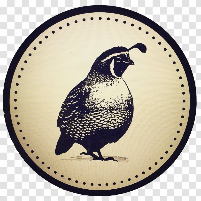 Watsonville Bird Pajaro Valley Food Beak - Fauna Transparent PNG