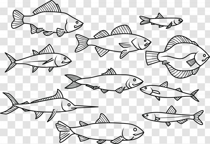 Fish Drawing - Line Art - Painted Transparent PNG