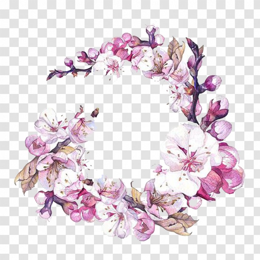 Watercolor Painting Flower Art Cherry Blossom - Composition - Pear Wreath Picture Material Transparent PNG